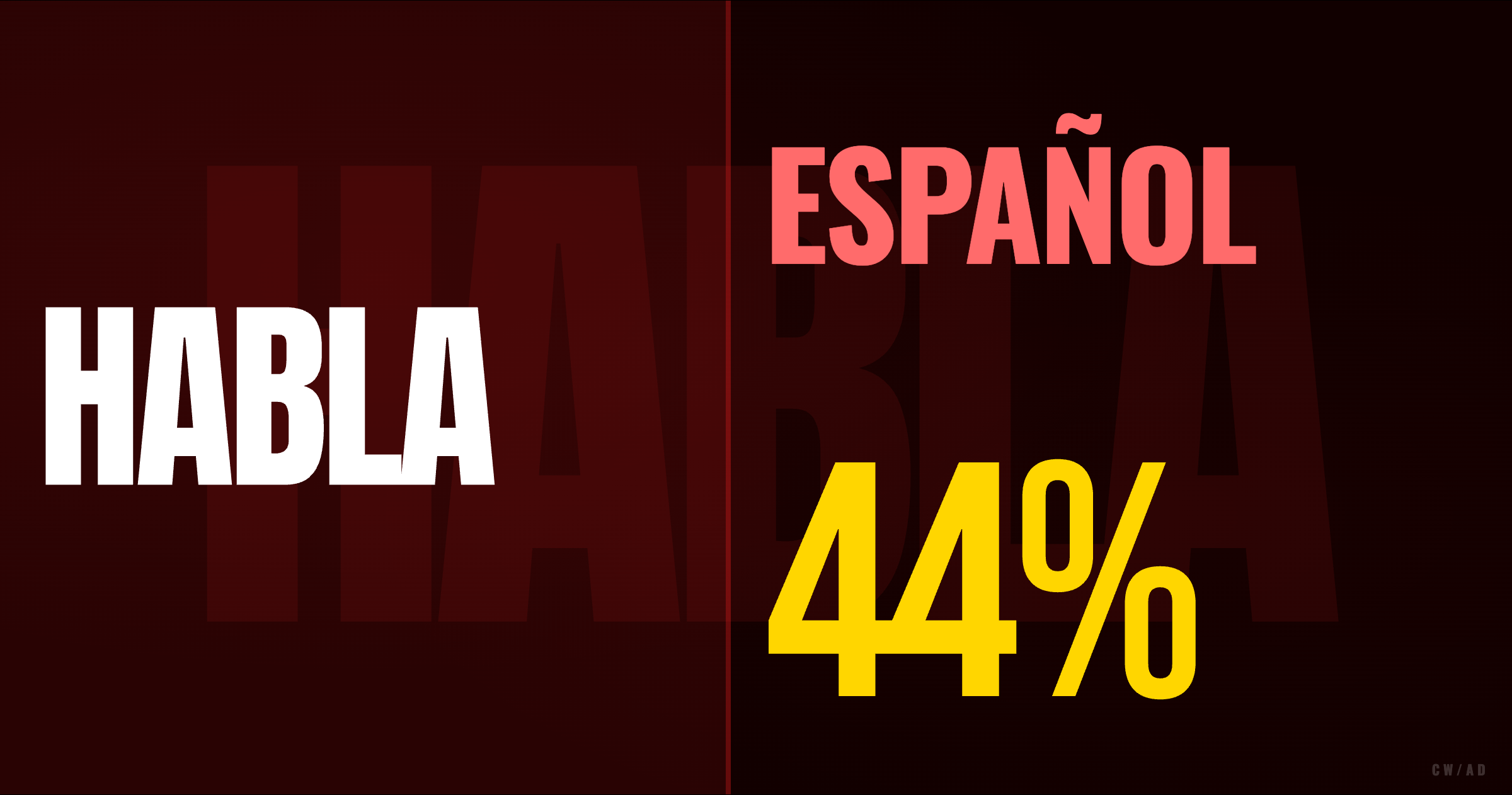 Bilingual laundromat customer service